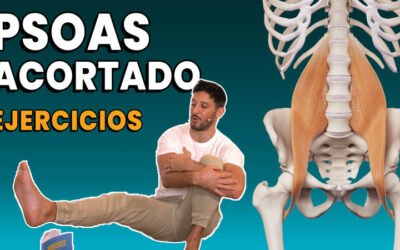 El psoas: ¿Por qué estirarlo no sirve?