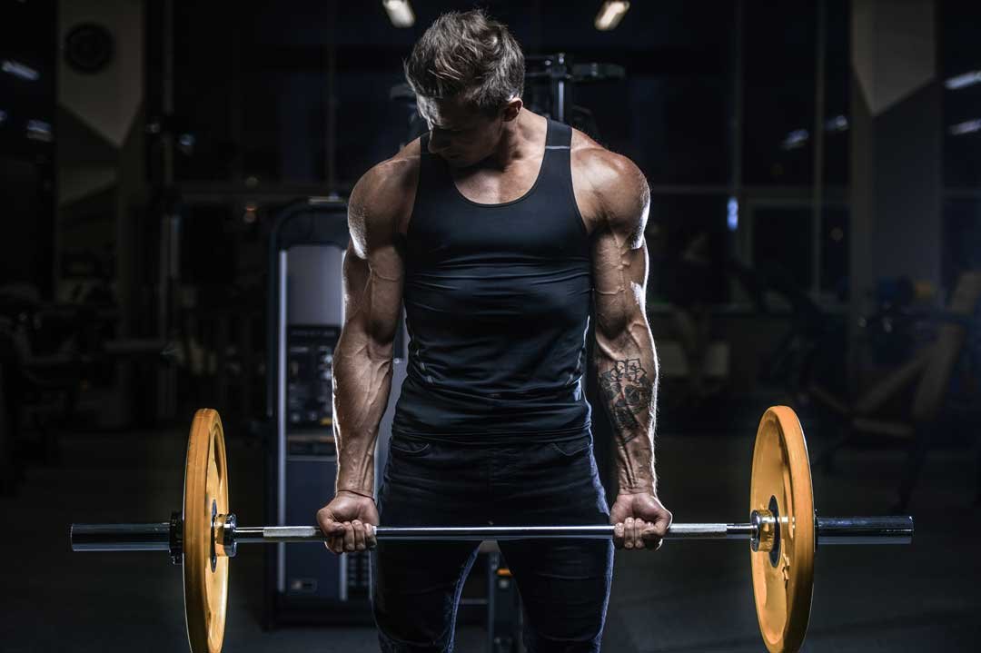 Entrenar los musculos del cuerpo en el gimnasio