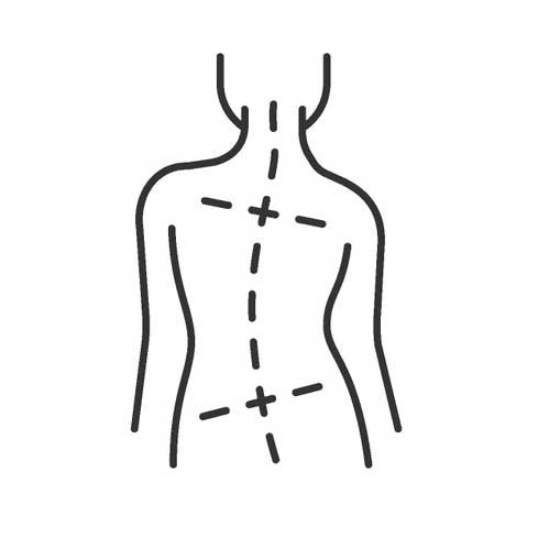 Desequilibrios del cuerpo Desequilibrios del cuerpo