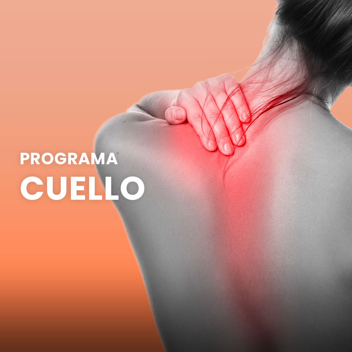 Nuevo Programa Cuello