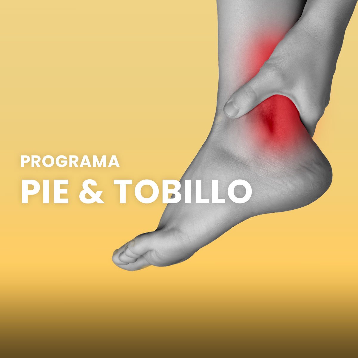 Nuevo Programa Pie y tobillo Nuevo Programa Pie y tobillo
