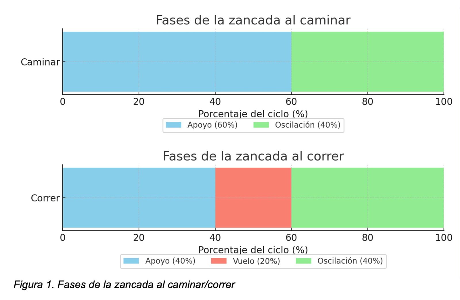 Zancada al caminar y durante la carrera