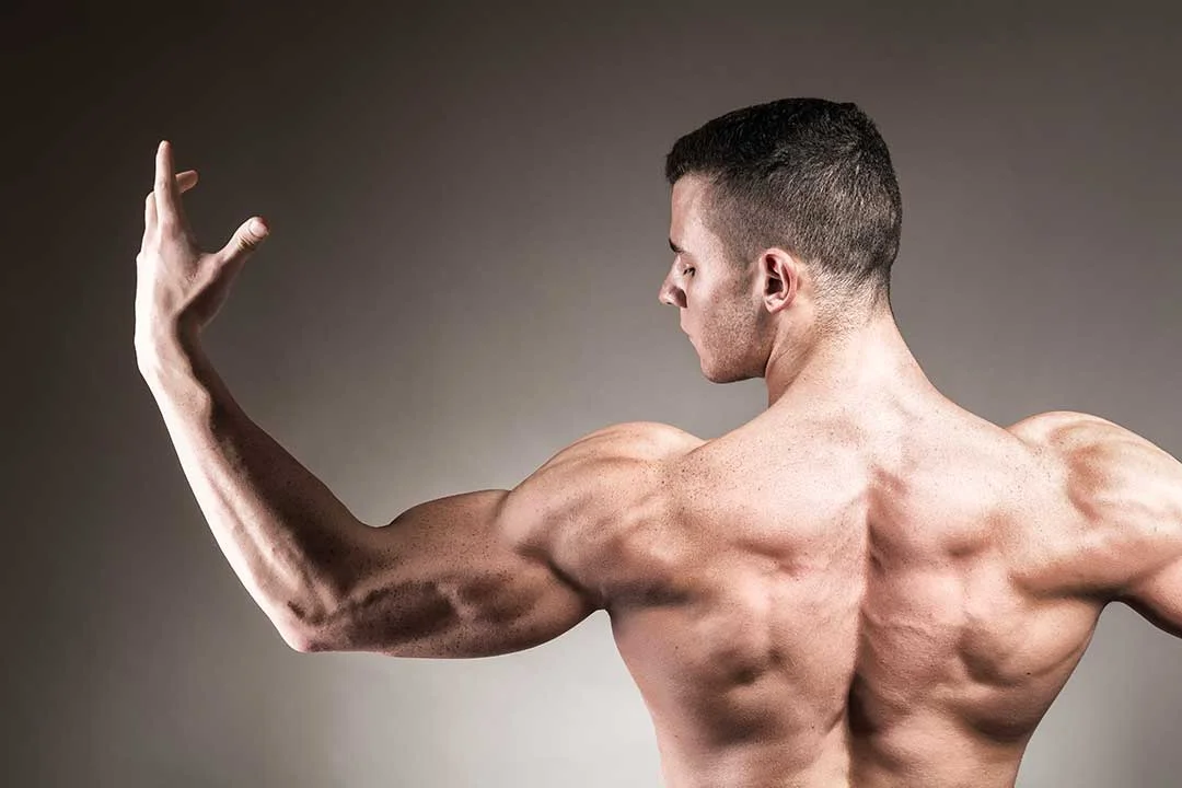 Guia para ganar masa muscular