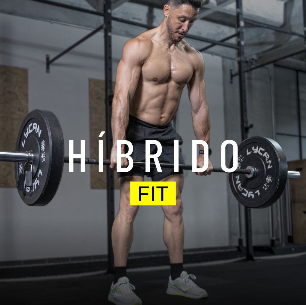 Hibrido Fit
